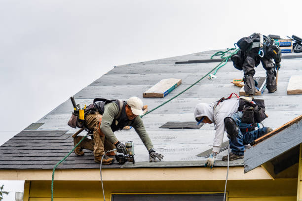 Professional Gutter Installation technician working in Lake Lillian, MN